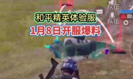 体验服和平精英最新爆料,平精英全新内容抢先看，惊喜连连等你来体验！