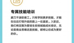 辉瑞制药爆料最新消息,疫苗研发进展及全球接种策略揭秘