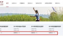 鹏程最新消息爆料,揭秘行业动态，洞察未来趋势