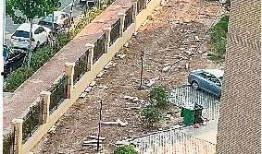 绵阳最新凯厦砍树爆料新闻,真相与争议交织的环保风波