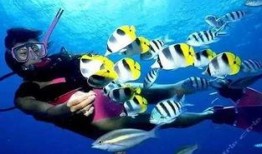 海底世界cf最新爆料,CF最新爆料揭秘海底世界新篇章