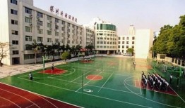 深圳外国语学校最新爆料,独家爆料直击校园新篇章