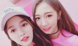 乐清明星爆料视频最新,揭秘娱乐圈不为人知的一面